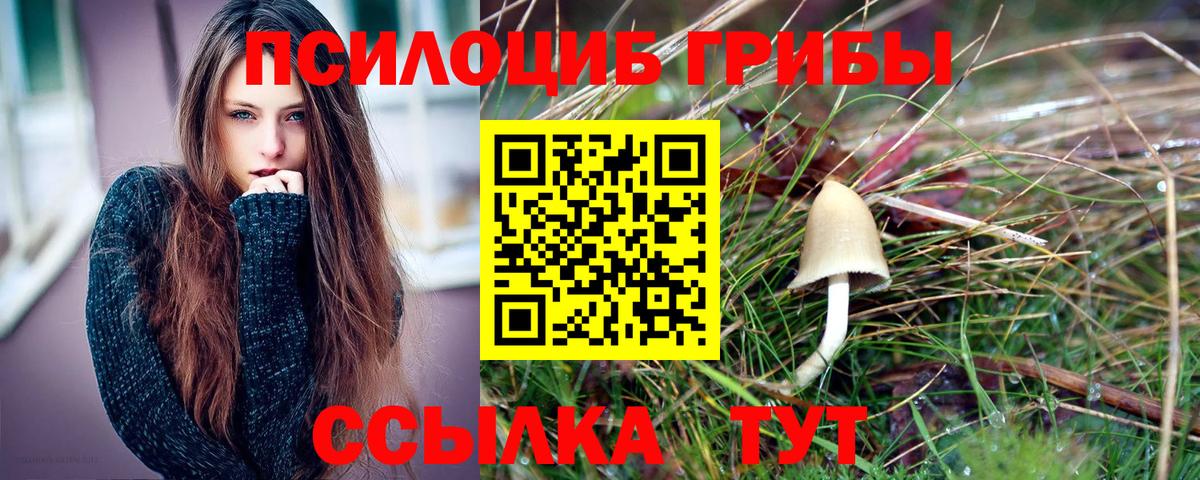 Псилоцибиновые грибы Psilocybe Кыштым